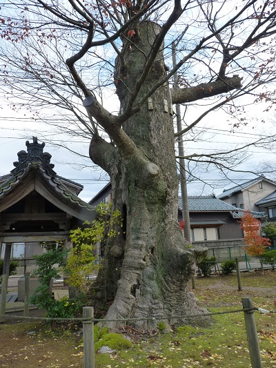 k001158wanou2