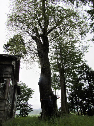 k001162toukaiti