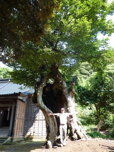 k001163hamatuda