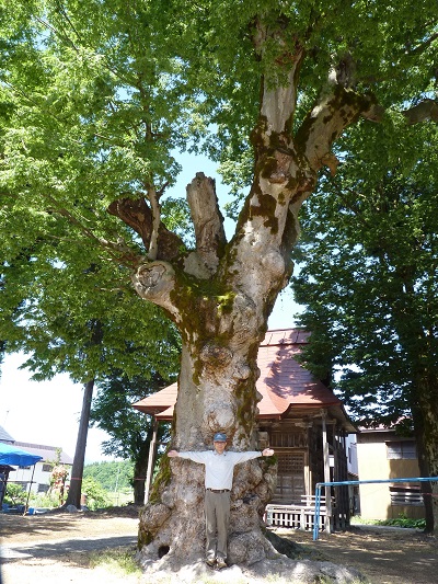 k001164toukamati