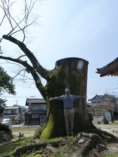 k001169hirabayasi