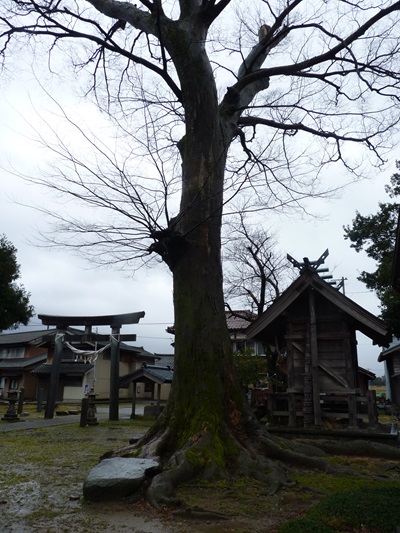 k001169simokajiya1