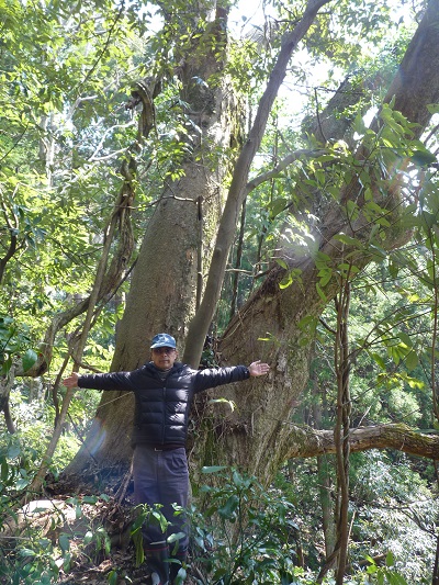k001174nadati