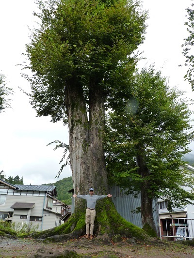 k001176oosirakawa3