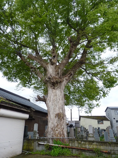 k001180ebisu