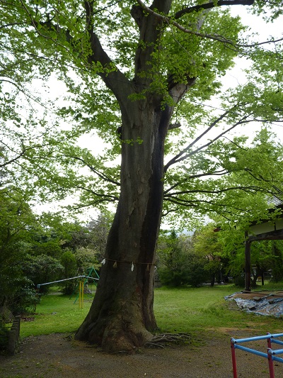 k001180hamada