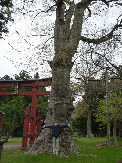 k001181kaminiibo1