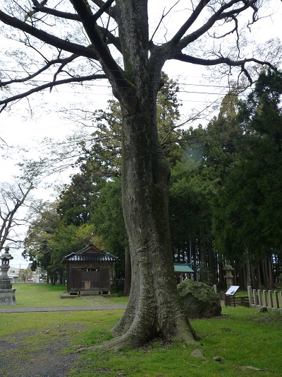 k001181kaminiibo2