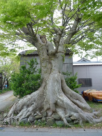 k001185kawaharadasuwamati