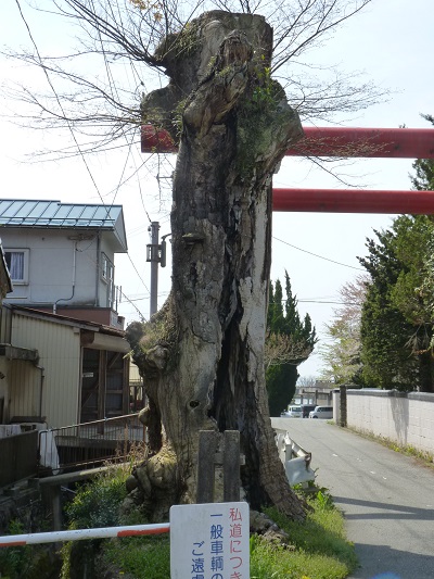 k001187ogimati