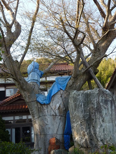 k001188hamotiooisi