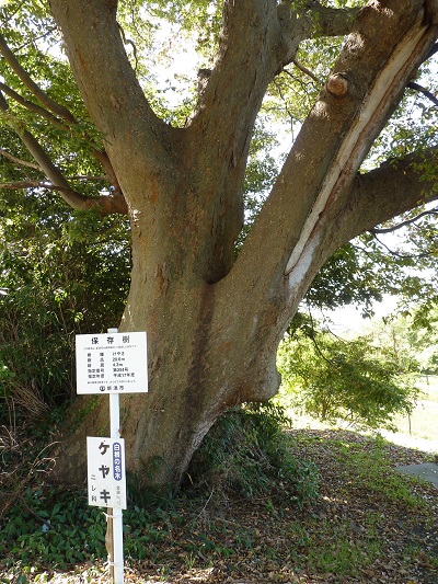 k001193wasinokisinden