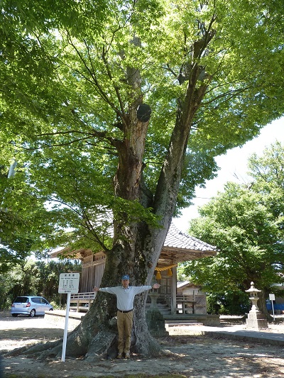 k001194tajima