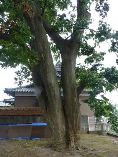 k001194utisimami2