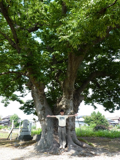 k001195haikata