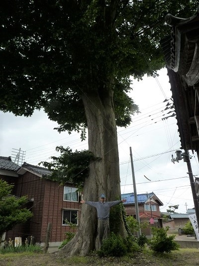 k001196nakanosima