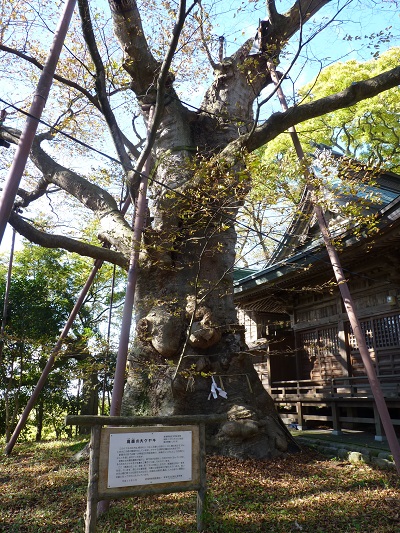 k001198takamori
