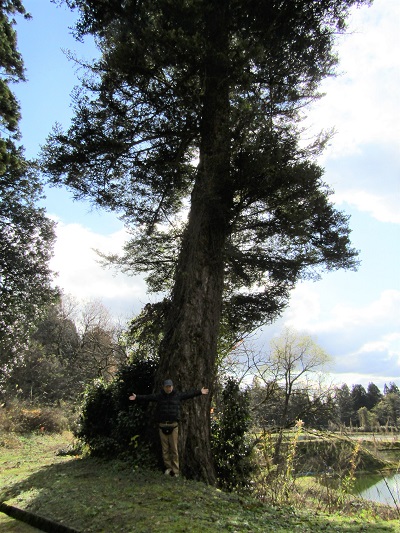 m003345muikaiti