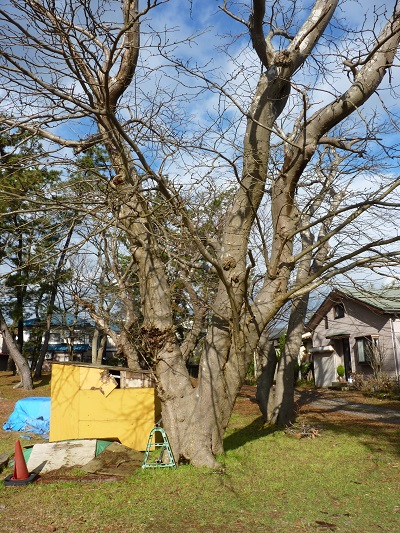 w004401hisumi