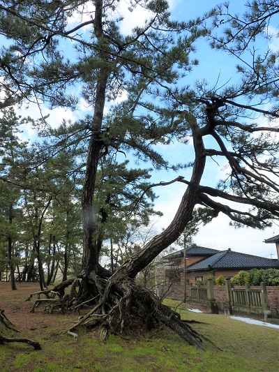 w004401hisumi1