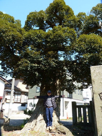 w004401miyaba