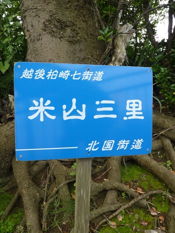 w004401oumigawa-1