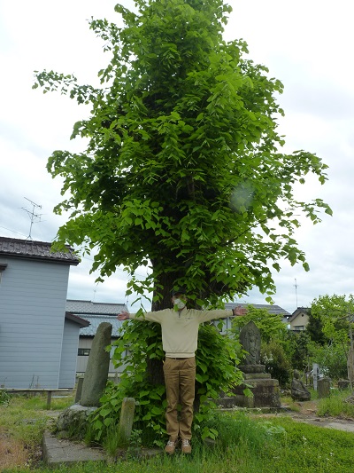 w004401yotuya1