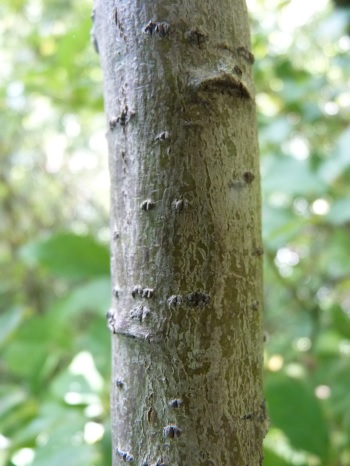 w004402bessyo14-2