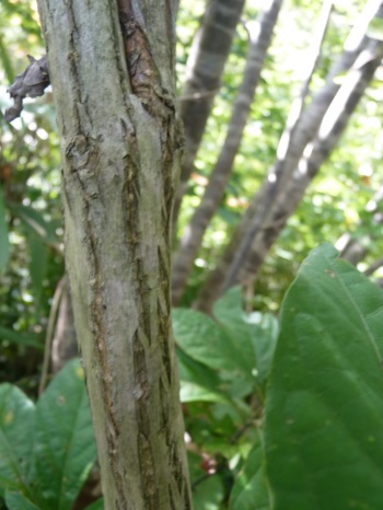 w004402bessyo15-1