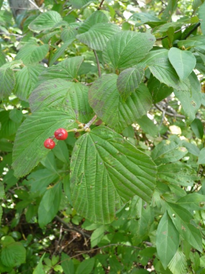 w004402bessyo17