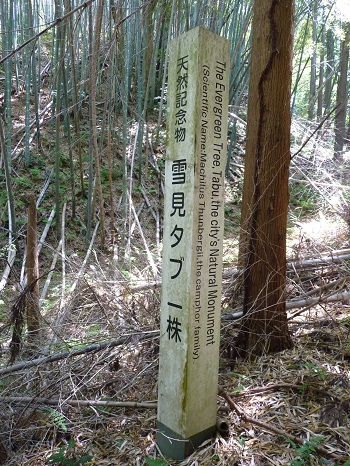 w004402rendaiji4-1