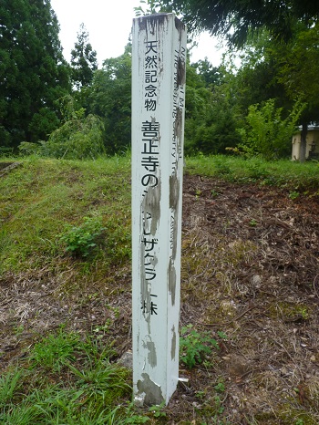 w004402sunaba-1