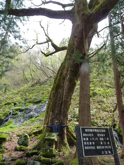 w004403fujiwara8