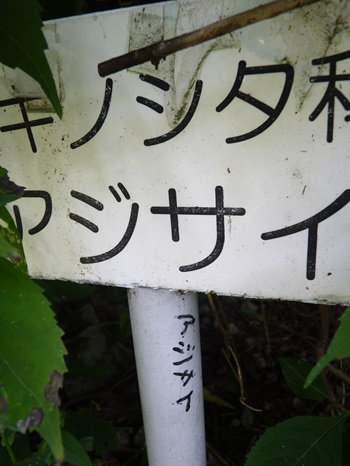 w004404unotoro11-2