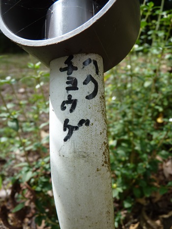 w004404unotoro13-2