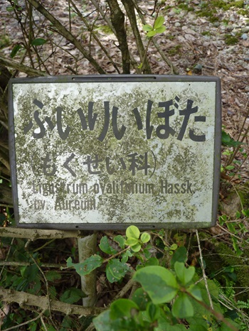 w004404unotoro14-2