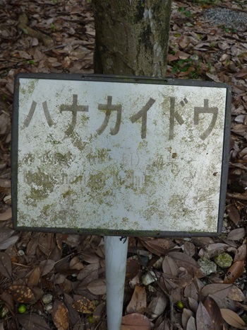w004404unotoro15-2