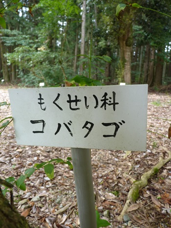 w004404unotoro20-3