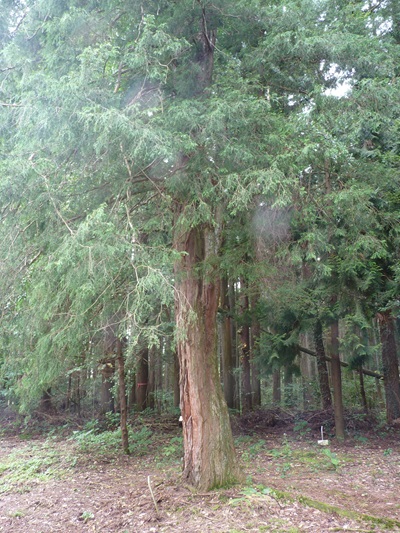 w004404unotoro21