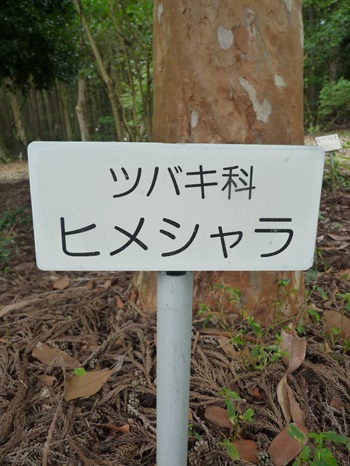w004404unotoro3-3