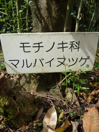 w004404unotoro5-3