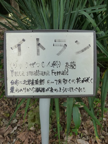 w004404unotoro7-2