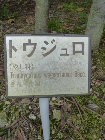 w004404unotoro9-3