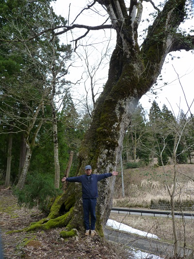 w004406kiriyama