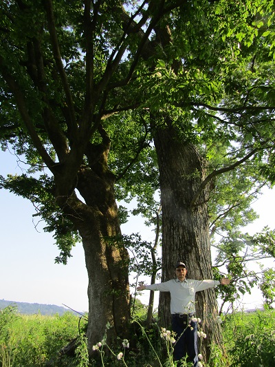 w004407tiyagawa1
