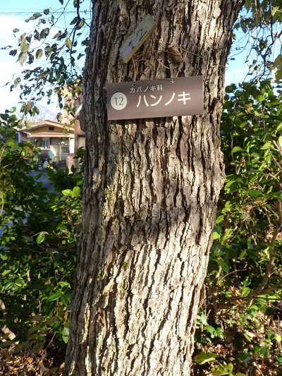w004409nisihonmati1-3