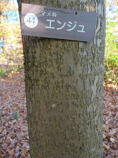 w004409nisihonmati10