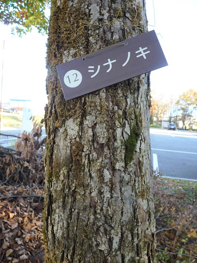 w004409nisihonmati12