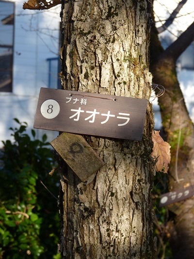 w004409nisihonmati2-2