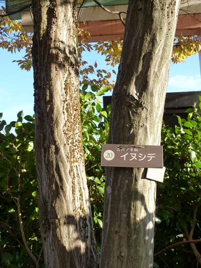 w004409nisihonmati3-1